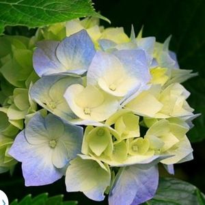 Meet your Posher, Vicki